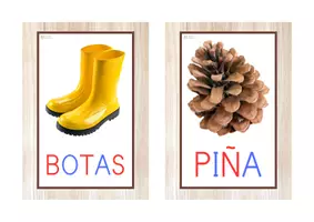 Vista previa - Tarjetas / Manipulativos - Vocabulario letra MAYÚSCULA (otoño) - página 3