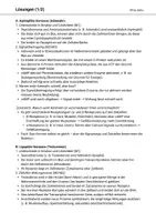 Vorschau - Arbeitsblätter - Partnerpuzzle Hormonarten Hormonklassen Signalübertragung - Seite 3