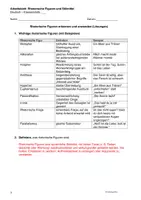 Vorschau - Arbeitsblätter - Rhetorische Figuren - Arbeitsblatt zu Stilmitteln - Seite 3