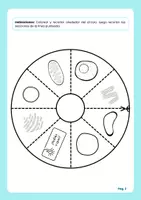 Vista previa - Hojas de trabajo - Material didáctico Libro circular de célula animal - página 1