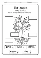 Προεπισκόπηση - Φύλλα εργασίας - Ελιά Νηπιαγωγείο φύλλα εργασίας δεξιότητες κατασκευή - Σελίδα 1