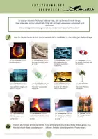 Vorschau - Arbeitsblätter - Evolution Dossier inkl. Lösungen - Seite 3