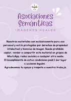 Vista previa - Tarjetas / Manipulativos - Asociaciones semánticas- Imágenes reales - página 2