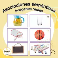 Vista previa - Tarjetas / Manipulativos - Asociaciones semánticas- Imágenes reales - Portada