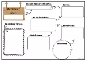Vorschau - Arbeitsblätter - Steckbriefe zu Waldtieren - Seite 3