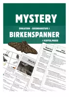 Vorschau - Stundenentwürfe - Mystery Industriemelanismus (Birkenspanner) - Deckblatt
