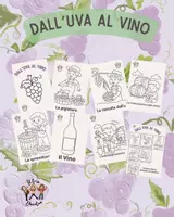 anteprima - Programmi scolastici / Materiali per docenti - Dall'uva al vino - Pagina di copertina