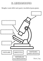 anteprima - Esercizi - Il microscopio - Pagina di copertina