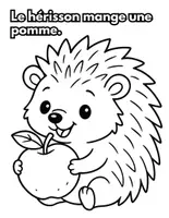 Aperçu - Matériel pour travaux manuels / dessin - Coloriage automne Hérisson Français-Anglais - Page 1