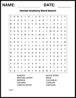 Vorschau - Arbeitsblätter - Human anatomy word search - Wortsuche Englisch Rätsel - Seite 1
