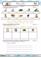 Vorschau - Stundenentwürfe - Einheit: mi mascota - animales - A1.1 Spanisch - Seite 2