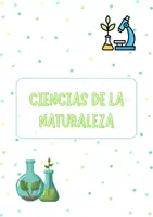 Vista previa - Para docentes: organización, planificación y formación - Portadas áreas Educación Primaria - página 1