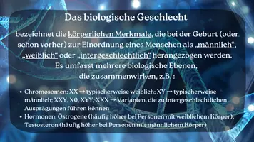 Vorschau - Stundenentwürfe - 🌈 Foliensatz: Geschlecht, Identität und Vielfalt - Seite 2