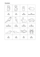 anteprima - Esercizi - Deutsch/DaZ - Haustiere - Sparpaket Bildkarten, Arbeitsblätter, Miniwörterbuch, Sprachförderung (Raccolta di materiali sugli animali domestici) - Pagina 2