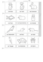 anteprima - Esercizi - Deutsch/DaZ - Haustiere - Miniwörterbuch (Leporello), Sprachförderung (Mini dizionario: “Animali domestici”) - Pagina 2