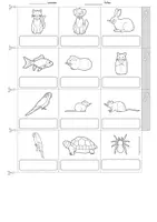 anteprima - Esercizi - Deutsch/DaZ - Haustiere - Miniwörterbuch (Leporello), Sprachförderung (Mini dizionario: “Animali domestici”) - Pagina 3