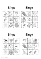 Vorschau - Arbeitsblätter - Wald-Bingo – spielerisch Tiere und Pflanzen entdecken - Seite 2