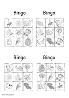 Vorschau - Arbeitsblätter - Wald-Bingo – spielerisch Tiere und Pflanzen entdecken - Seite 3