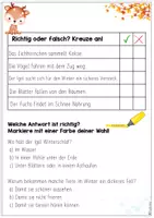 Vorschau - Arbeitsblätter - Leseverständnistext Tiere im Winter + Aufgaben - Seite 3