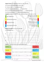Vorschau - Arbeitsblätter - Gedichte: Merkmale und sprachliche Mittel (dreifach differenziert) - Seite 3
