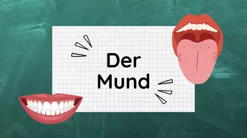 Vorschau - Stundenentwürfe - PPT & Stundenentwurf: Der Mund inkl Lösungen - Vom Biss zur Power Teil 4 - Biologie - Seite 2