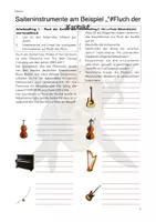 Vorschau - Arbeitsblätter - „Saiteninstrumente - Gitarre, Geige & Country-Musik" (Skript mit Lösung) - Seite 2