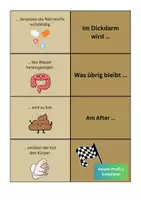 Vorschau - Spiele - Legespiel Verdauung - Vom Biss zur Power - Biologie - Seite 3