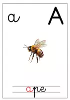 anteprima - Materiale di supporto/inclusione - ALFABETARIO CORSIVO MONTESSORI - Pagina di copertina