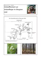 Vorschau - Arbeitsblätter - Stickstoffkreislauf und Stickstoffzeiger im Ökosystem Wald - Deckblatt