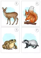 Vorschau - Arbeitsblätter - Lesespaziergang Tiere im Winter – Bewegtes Lesetraining zur Wiederholung der Winterstrategien (Sachunterricht / Deutsch) - Seite 3