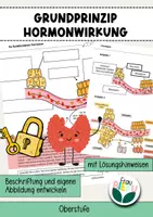 Vorschau - Arbeitsblätter - Grundprinzip Hormonwirkung Hormone Neurobiologie - Deckblatt