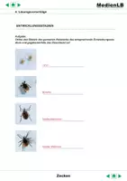 Vorschau - Arbeitsblätter - Zecken - Ergänzungen mit Lösungen - Seite 1