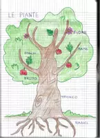 anteprima - Esercizi - SCIENZE LE PIANTE - Classe 2^ Le piante Parte Prima - Pagina 1