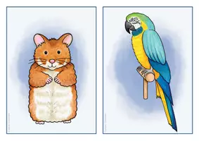 anteprima - Flashcard - Englisch/ Deutsch/ DaZ - pets / Haustiere - flashcards/ Bildkarten, mit Wortkarten (Flashcards sugli animali domestici) - Pagina 3
