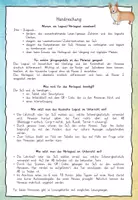 Vorschau - Audio-Dateien - Materialpaket Hör - Logical (Ritter, Piraten, Hunde) - ab Klasse 2 - Seite 2