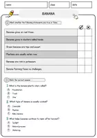 Vorschau - Arbeitsblätter - Banana Food Englisch Lesetext mit Richtig Falsch-, Multiple-Choice- und Offenen Fragen (Englisch Arbeitsblatt) - Seite 2