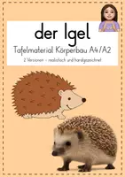 Vorschau - Poster - Der Igel - Körperbau Tafelmaterial - Deckblatt