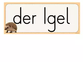 Vorschau - Poster - Der Igel - Körperbau Tafelmaterial - Seite 3