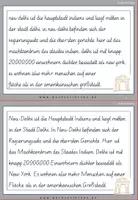 Vorschau - Fördermaterial/Inklusion - Schreibschrift: Delhi Spezial: Fehlerteufel Lesekarten Großschreibung - Seite 3