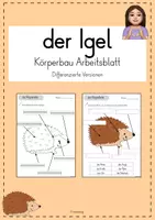 Vorschau - Arbeitsblätter - Arbeitsblätter der Igel Körperbau - Deckblatt