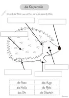 Vorschau - Arbeitsblätter - Arbeitsblätter der Igel Körperbau - Seite 3