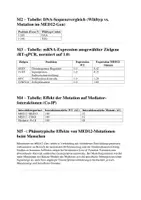 Vorschau - Arbeitsblätter - Klausur - Genetik, Mediator-Protein, Transkription - Seite 3