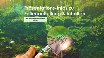 Vorschau - Stundenentwürfe - Großes Wald-Projekt: Planung, Exkursion, Protokolle & Bewertung - Deckblatt