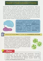 Vorschau - Arbeitsblätter - Pflanzenzellen und Tierzellen: Unterschiede & Gemeinsamkeiten - Seite 1