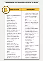 Vorschau - Arbeitsblätter - Pflanzenzellen und Tierzellen: Unterschiede & Gemeinsamkeiten - Seite 3