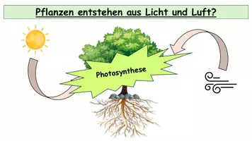 Vorschau - Stundenentwürfe - Photosynthese Sek II - Endotherme Redoxreaktion und Assimilation | Komplette Unterrichtsstunde - Seite 3