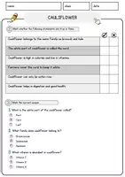 Vorschau - Arbeitsblätter - Cauliflower Food Englisch Lesetext mit Richtig Falsch-, Multiple-Choice- und Offenen Fragen (Englisch Arbeitsblatt) - Seite 2