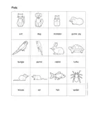 anteprima - Esercizi - English - Pets (Worksheets) - Pagina 1