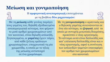 Προεπισκόπηση - Πλάνο μαθήματος / Υλικό για τον εκπαιδευτικό - Βιολογία Γ Λυκείου - Μείωση - Σελίδα 3