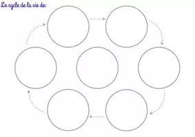 Aperçu - Jeux - LES CYCLES DE VIES - Page 1